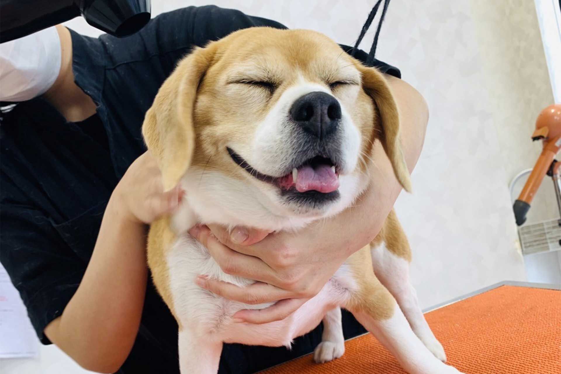 サロン